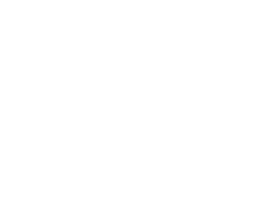 PwC Outline Logo White 1 1